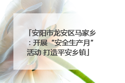 安阳市龙安区马家乡：开展“安全生产月”活动 打造平安乡镇