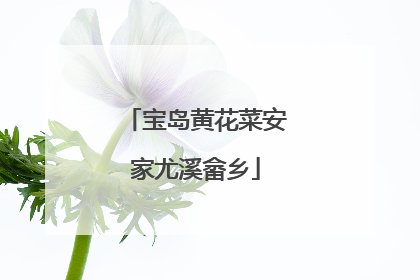宝岛黄花菜安家尤溪畲乡