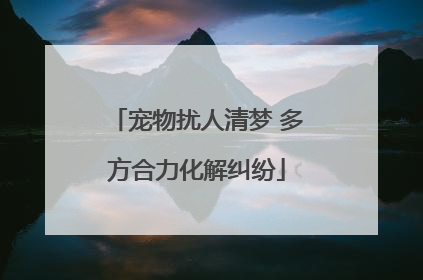 宠物扰人清梦 多方合力化解纠纷