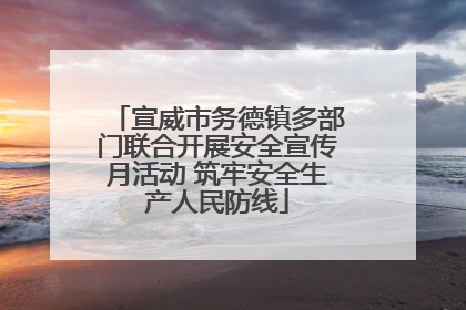 宣威市务德镇多部门联合开展安全宣传月活动 筑牢安全生产人民防线