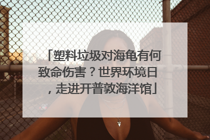 塑料垃圾对海龟有何致命伤害？世界环境日，走进开普敦海洋馆