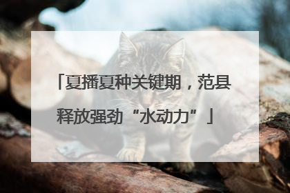 夏播夏种关键期，范县释放强劲“水动力”