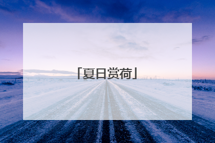 夏日赏荷