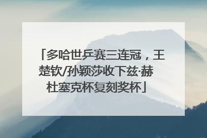 多哈世乒赛三连冠，王楚钦/孙颖莎收下兹·赫杜塞克杯复刻奖杯