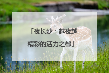 夜长沙：越夜越精彩的活力之都