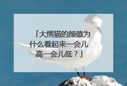 大熊猫的颜值为什么看起来一会儿高一会儿低？