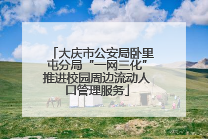 大庆市公安局卧里屯分局“一网三化”推进校园周边流动人口管理服务