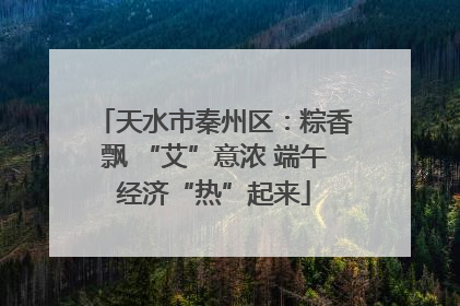 天水市秦州区：粽香飘 “艾”意浓 端午经济“热”起来