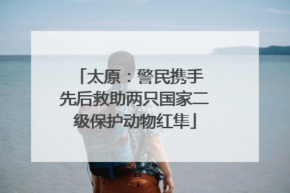 太原：警民携手 先后救助两只国家二级保护动物红隼