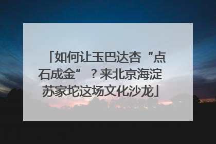 如何让玉巴达杏“点石成金”？来北京海淀苏家坨这场文化沙龙