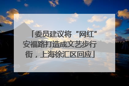 委员建议将“网红”安福路打造成文艺步行街，上海徐汇区回应