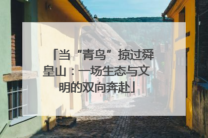 当“青鸟”掠过舜皇山：一场生态与文明的双向奔赴