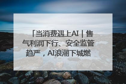 当消费遇上AI｜售气利润下行、安全监管趋严，AI浪潮下城燃企业如何破局