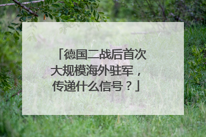 德国二战后首次大规模海外驻军，传递什么信号？