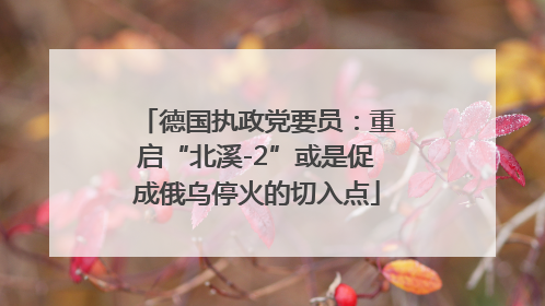 德国执政党要员：重启“北溪-2”或是促成俄乌停火的切入点