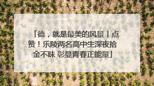 德，就是最美的风景丨点赞！乐陵两名高中生深夜拾金不昧 彰显青春正能量
