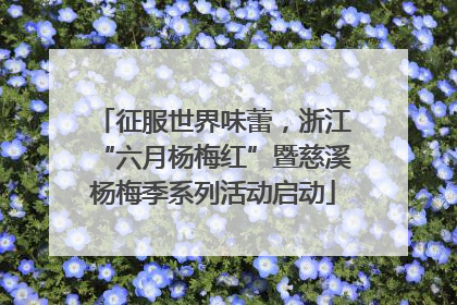 征服世界味蕾，浙江“六月杨梅红”暨慈溪杨梅季系列活动启动