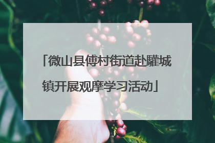 微山县傅村街道赴驩城镇开展观摩学习活动