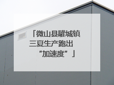 微山县驩城镇三夏生产跑出 “加速度”