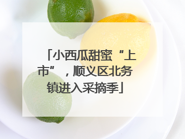 小西瓜甜蜜“上市”，顺义区北务镇进入采摘季
