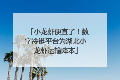 小龙虾便宜了！数字冷链平台为湖北小龙虾运输降本