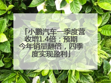 小鹏汽车一季度营收增1.4倍：预期今年销量翻倍，四季度实现盈利