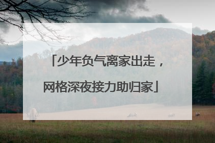 少年负气离家出走，网格深夜接力助归家