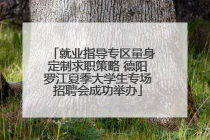 就业指导专区量身定制求职策略 德阳罗江夏季大学生专场招聘会成功举办