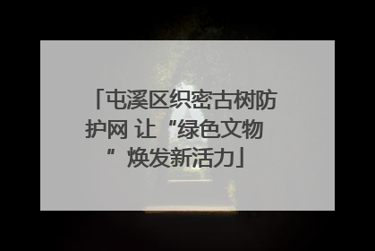 屯溪区织密古树防护网 让“绿色文物”焕发新活力