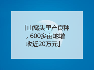 山窝头里产良种，600多亩地增收近20万元