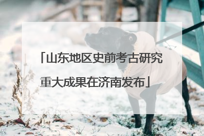 山东地区史前考古研究重大成果在济南发布