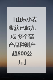 山东小麦收获已超九成 多个高产品种测产超800公斤