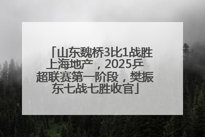 山东魏桥3比1战胜上海地产，2025乒超联赛第一阶段，樊振东七战七胜收官