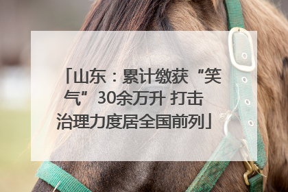 山东：累计缴获“笑气”30余万升 打击治理力度居全国前列