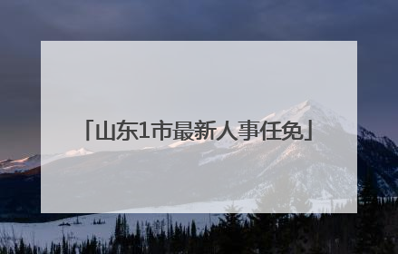 山东1市最新人事任免