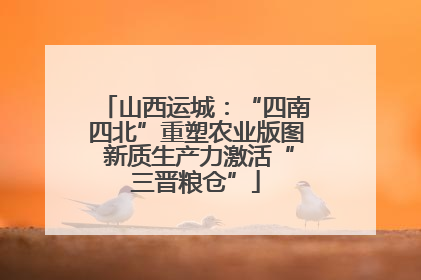 山西运城：“四南四北”重塑农业版图 新质生产力激活“三晋粮仓”