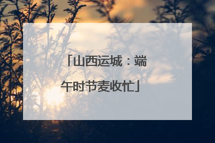 山西运城：端午时节麦收忙