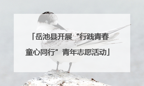 岳池县开展“行践青春 童心同行”青年志愿活动