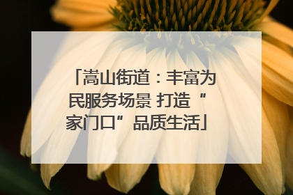 嵩山街道：丰富为民服务场景 打造“家门口”品质生活