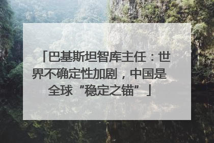 巴基斯坦智库主任：世界不确定性加剧，中国是全球“稳定之锚”