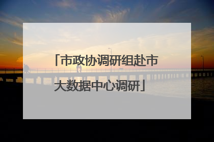 市政协调研组赴市大数据中心调研