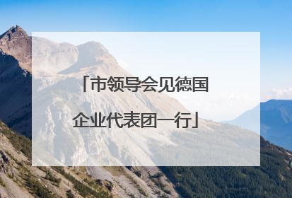 市领导会见德国企业代表团一行