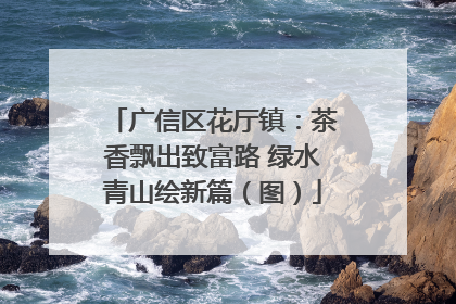 广信区花厅镇：茶香飘出致富路 绿水青山绘新篇（图）