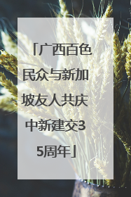 广西百色民众与新加坡友人共庆中新建交35周年