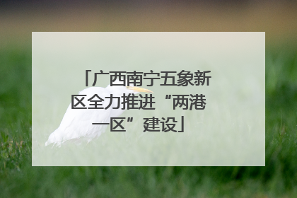 广西南宁五象新区全力推进“两港一区”建设
