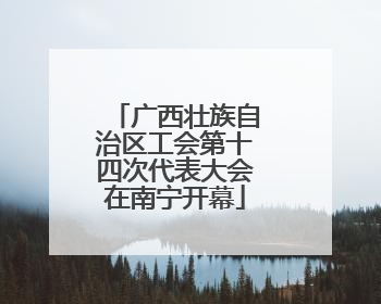 广西壮族自治区工会第十四次代表大会在南宁开幕