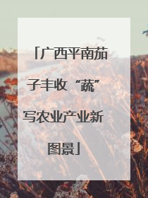 广西平南茄子丰收“蔬”写农业产业新图景