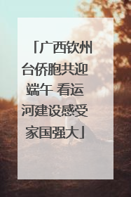 广西钦州台侨胞共迎端午 看运河建设感受家国强大