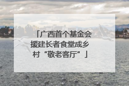 广西首个基金会援建长者食堂成乡村“敬老客厅”