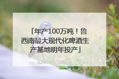 年产100万吨！鲁西南最大现代化啤酒生产基地明年投产